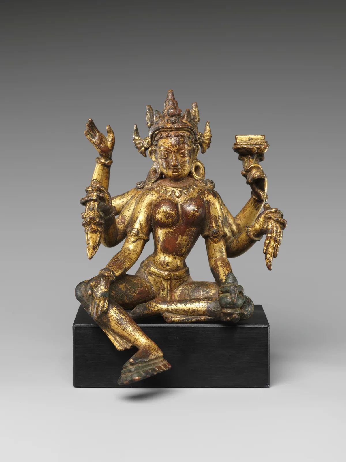 Vasudhara · Image 1