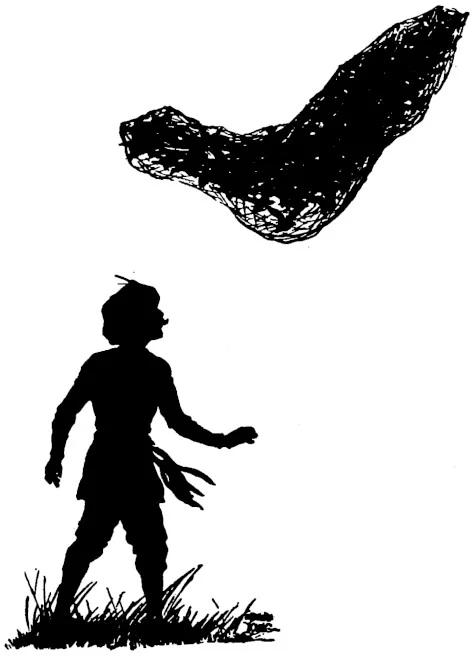 鵪鶉一起抬網 — Ellsworth Young