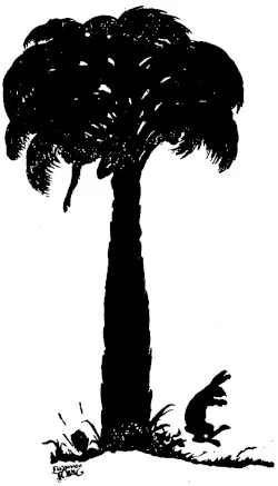 兔子聽見一聲響 — Ellsworth Young