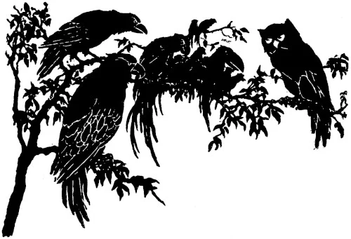 鳥兒爲什麼重新選王 — Ellsworth Young
